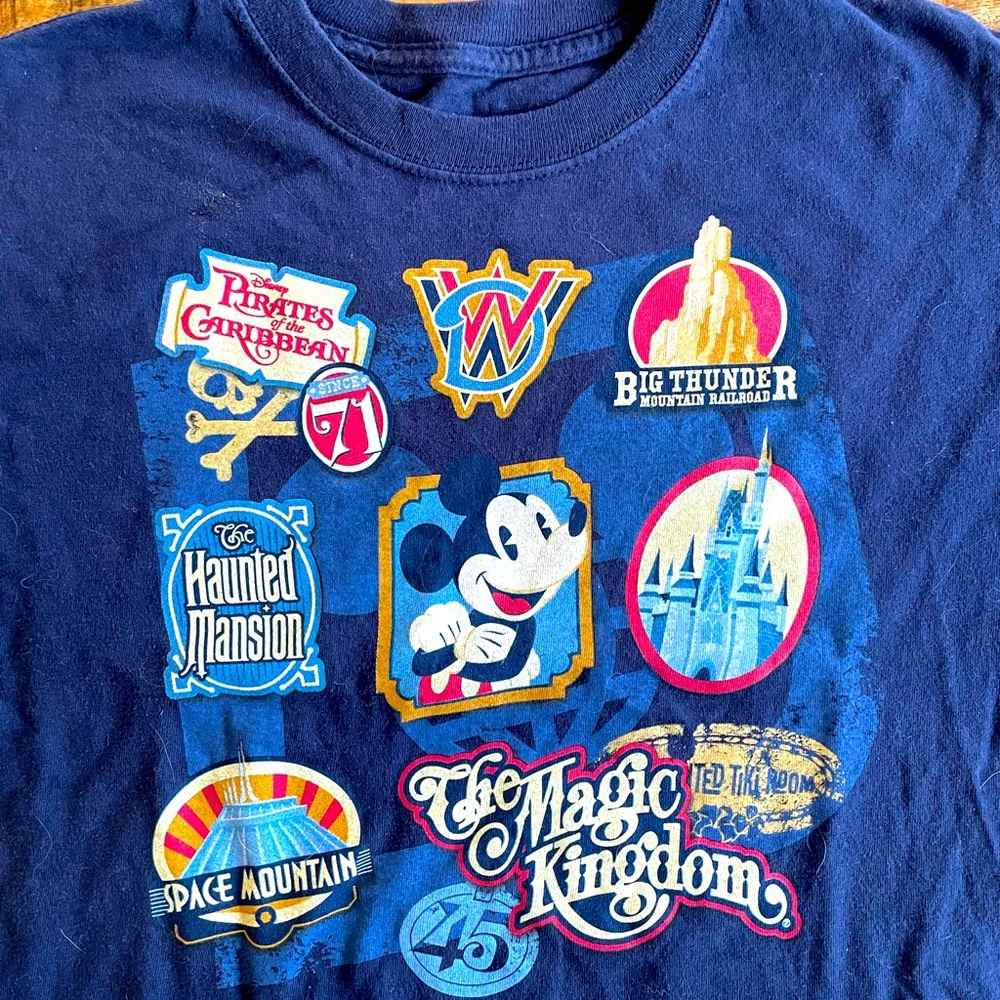 Authentic Disney World Rides T-shirt